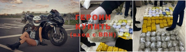 альфа пвп Новодвинск