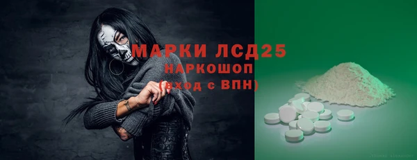 альфа пвп Новодвинск