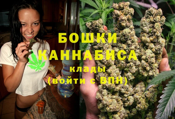 альфа пвп Новодвинск