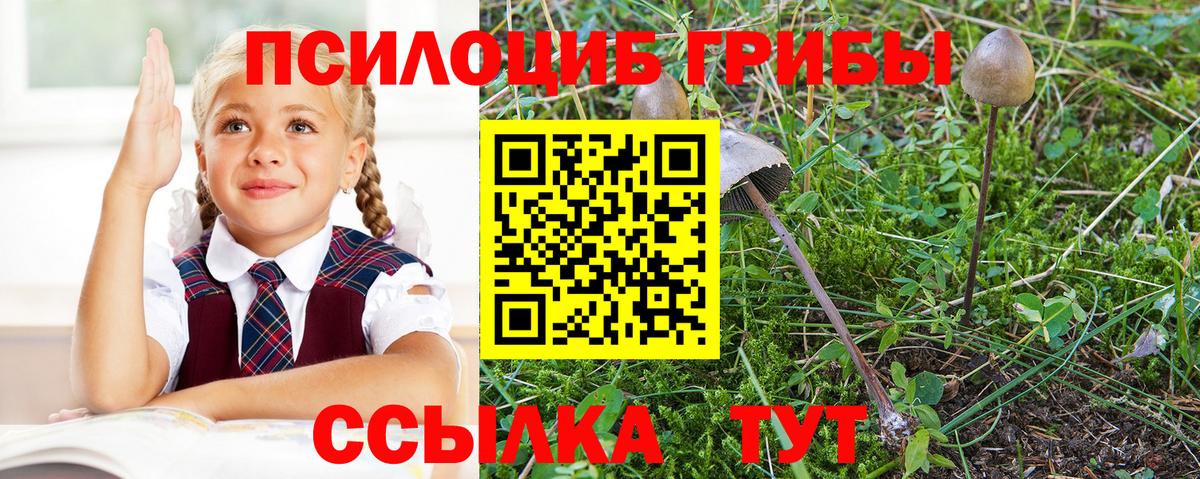 Псилоцибиновые грибы Cubensis  Вход с VPN  Салават 