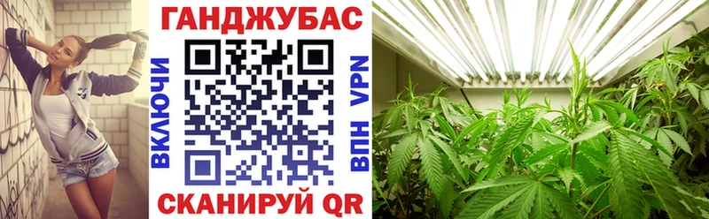 Бошки марихуана сатива  Салават 